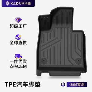 Leapmotor Lafa5 A10 B01 B10 C10 C11 C16 D19 üçün TPE avtomobil döşəmə xalçaları