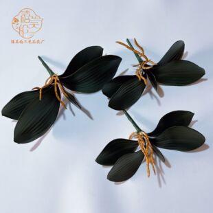 �����m�~�ӷ����~�Ӻ����m���Դ���΢���쾰���^�b߼������ָ�