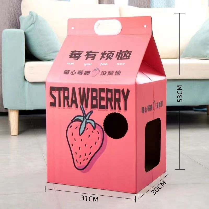 라즈베리는 문제가 있습니다