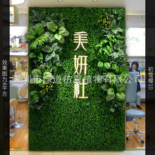 ����ѩ�ѡ�����ֲ�1ƽ���|�����w����Gֲ���bGɫ�W�t����