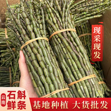 ���F�ɬF�l�����ʯ���r�l���طNֲ�FƤʯ���r�l�Y���b��؛���l