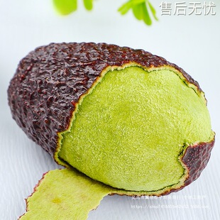 ţ�͹�������rˮ��15���������{�����͌����oʳ�r��������]