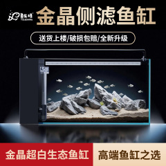 金晶超白玻璃侧滤鱼缸客厅2025新款家用小型生态循环过滤制氧一体