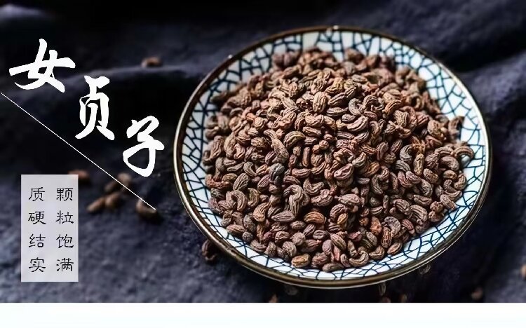 Nü Zhēn Zǐ (Ligustrum lucidum) — Dried Glossy Privet Fruit for Tea, Wine & Pillow overview