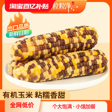 �������������r����Ŵ���װ����r���S�ڲ���������b�Ǽ�ʳ�o�Ǿ�