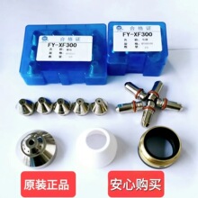 ԭbFY-XF300늘O300и