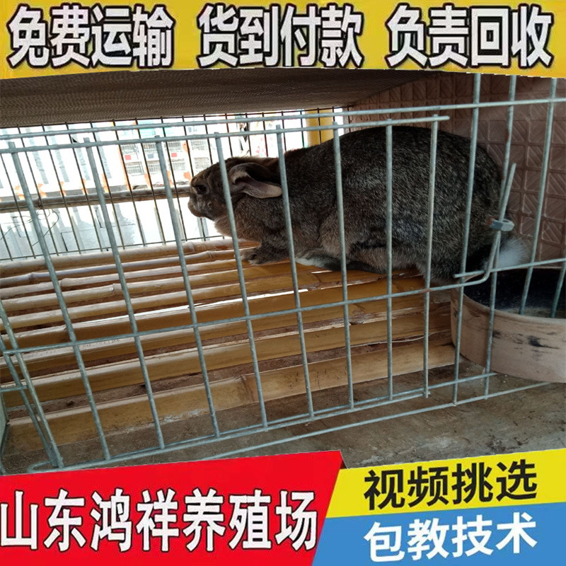 cb128d15d0b4423db5ac7743b0acba