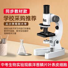 ͯW@΢RСWƌWbǿƌWƽl