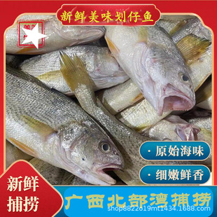 �V���������׹��~�r��~�����~���~���Ұ��ʯ�^�~С�S�~Ԓ���~