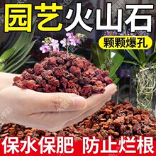 【兰花专用火山石】养花土多肉铺面石颗粒透气透水防烂根保肥开花