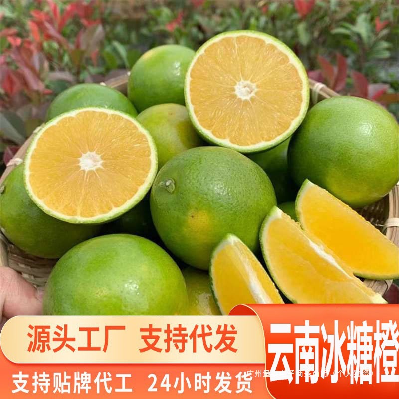 源头一件代发云南哀牢山冰糖橙绿皮新鲜手剥应季水果超甜现摘橙子