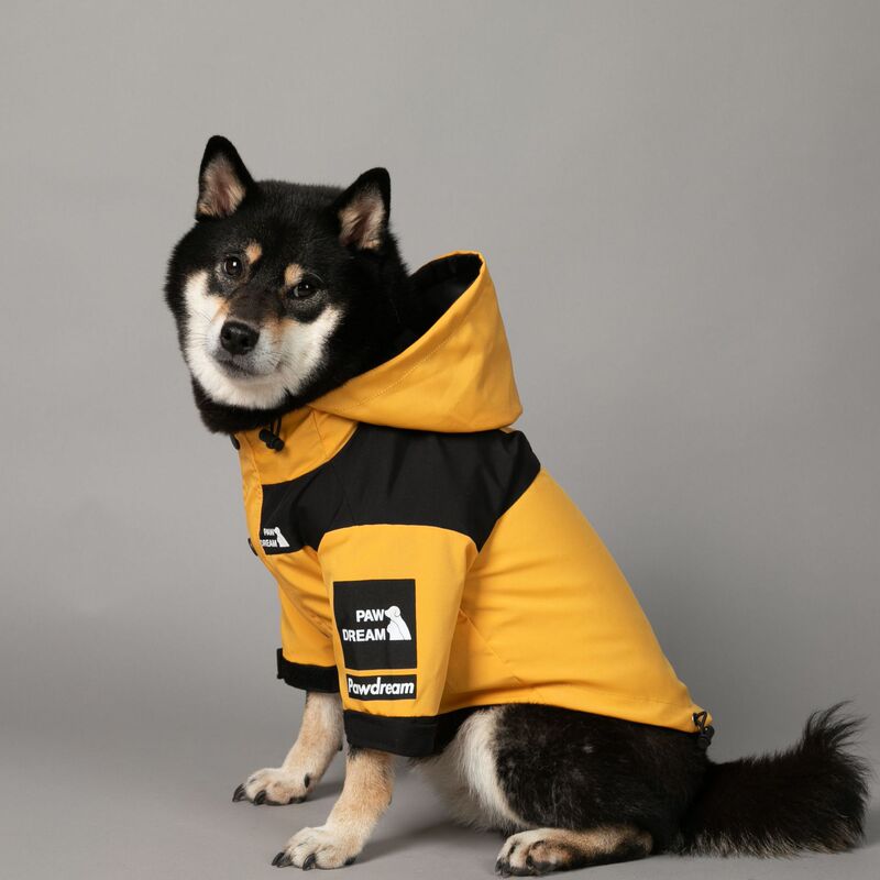 Paw Dream Trendy Windproof and Rainproof North Face-Style Dog Raincoat for Large Dogs, Pet Jacket, Pet Clothing