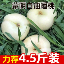 ɽ�|��ꎰ������ԭ�a�ؑ��������r�r��ˮ���@�جFժ�������ٰl