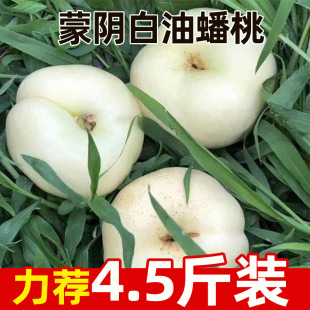 ɽ�|��ꎰ������ԭ�a�ؑ��������r�r��ˮ���@�جFժ�������ٰl