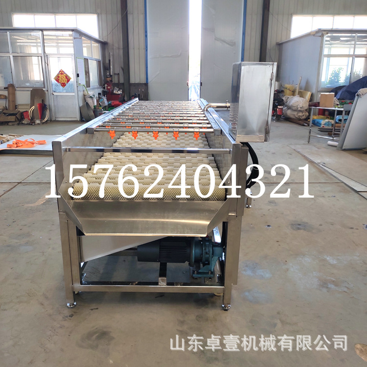 大型毛辊清洗机清洗海蛎子干净快速去泥杀净污清洗地瓜萝卜清洗