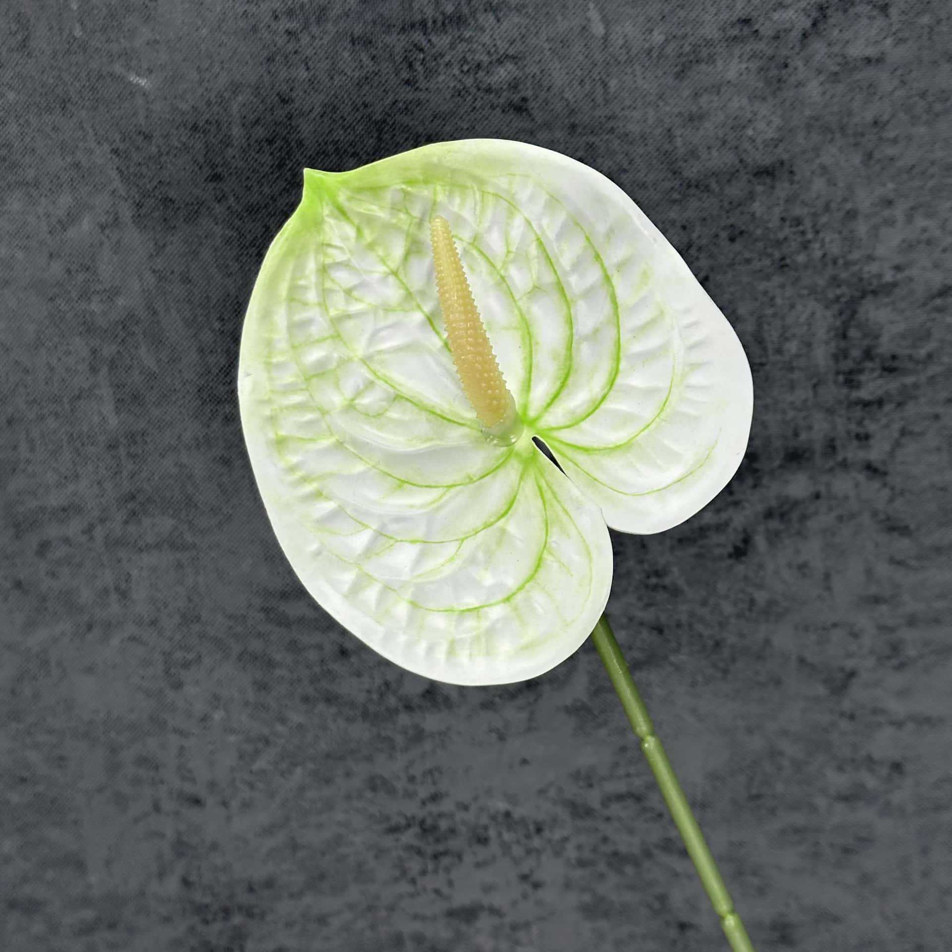 Decoración de Escenarios de Boda con Anturios Simulados, Decoración del Hogar, Accesorios de Fotografía, Adornos de Flores Artificiales en 3D para Venta al por Mayor