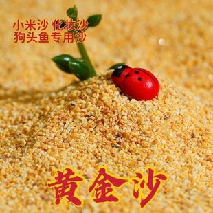 ����С�~���b��쾰ԭ���B�S��ɳ��ɰ���ָ��^�p�~���yɳ3060��