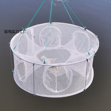 �ۯB�O�W�r�\�~�W���~�\���r�W���r�S�X���q�\�з�\׽С�~�֒��W