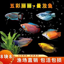 �����~��ˮ�~���^�p�~���B�ͻ�С�~������С����������~���~���~