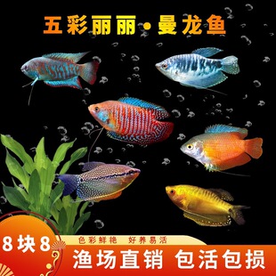 �����~��ˮ�~���^�p�~���B�ͻ�С�~������С����������~���~���~