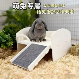 仓鼠生活用品;鸟类;其他小宠用品
