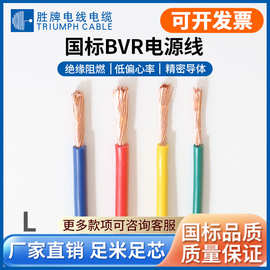 胜牌现货国标电线-BVR2 4 6 10平方单芯多股软铜线阻燃家装电线
