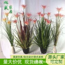 GֲJȔݷ滨҃b쾰ԔzӰ߷