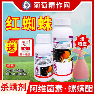 ������ �羯20%���S���� ���\�����t֩����S�\���x���\���rș