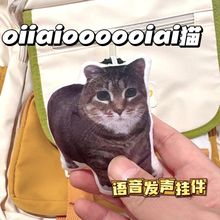 �羳�¿� �W�toiiaiС؈��֮��α��� ë�q��߹�����ż