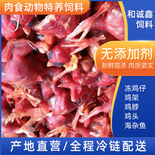 供应水貂狐狸零食特养冷冻饲料冷冻脱毛小鸡仔肉食动物饲料