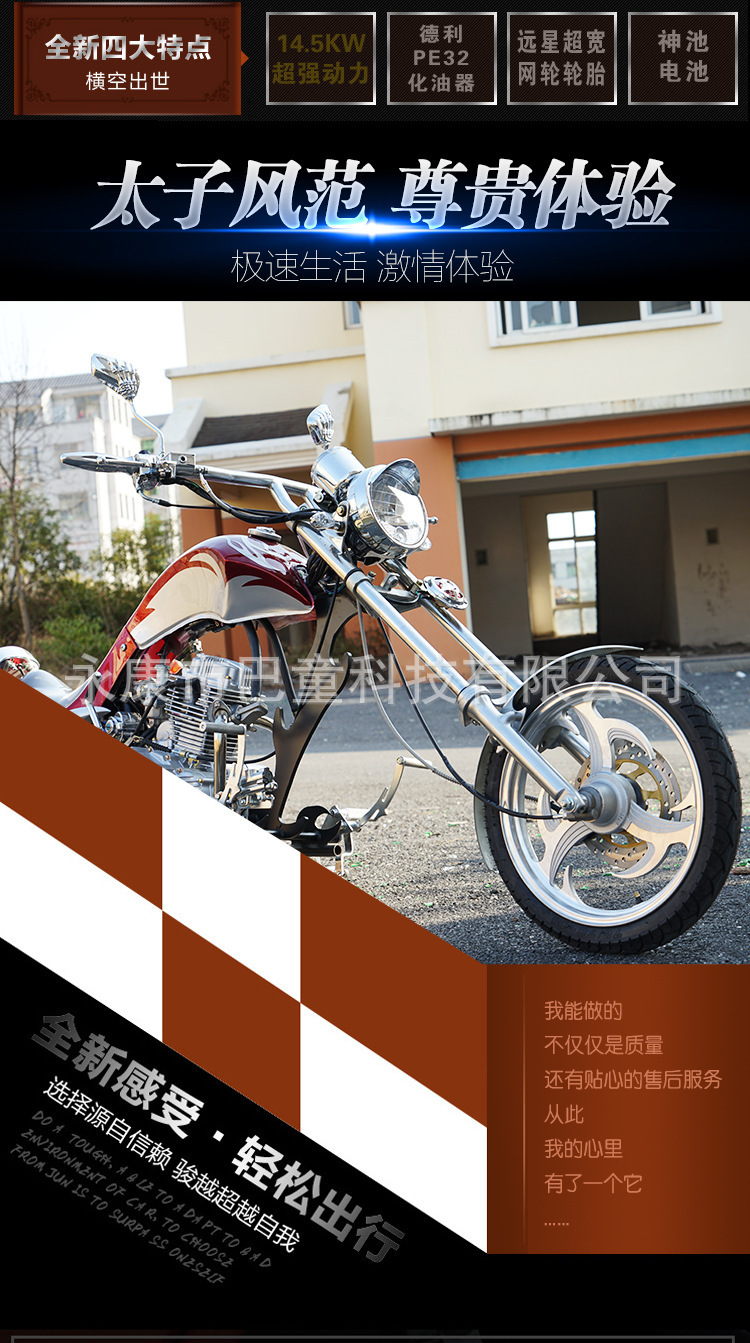 Brand New American Motorcycle, Harley Prince, Single-Cylinder Fuel Engine, Adult Motorcycle, Retro Motorcycle