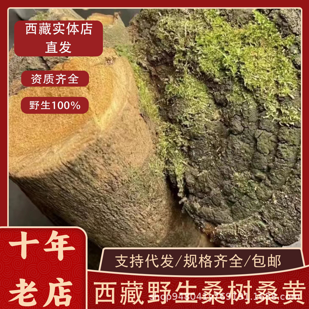 西藏野生桑树桑黄正宗正品特级灵芝50克林芝波密察隅西藏实体直发