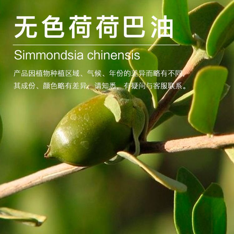 ��ɫ�ɺɰ��� �������� �ɺɰ�ѹե��ȡ ����������  ��ӭ�ɹ�