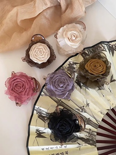 Flower Grab Clip Dry Rose Hairpin Headwear Women's 2024 New High-end Sense Hair Grab Hair Accessories Back of Head Half Tie Hair