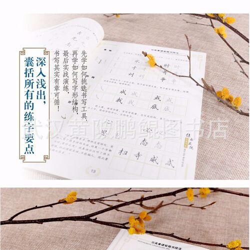 Huaxia Wanjuan Tian Yingzhang's regular script copybook hard-pen regular script technique quick calligraphy practice copybook for adult boys