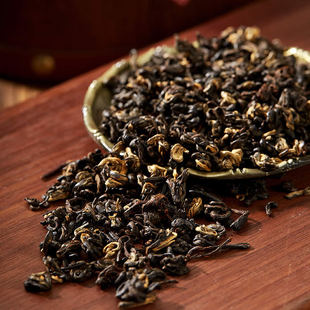 ��؛�¿��ɽ�t��|�����~ɢ�b���l��t���~��ϲ��~���ݲ�����ɽ