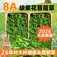 苜蓿草兔子粮草紫花干草幼兔食用龙猫豚鼠吃的粮食苜宿草兔粮饲料