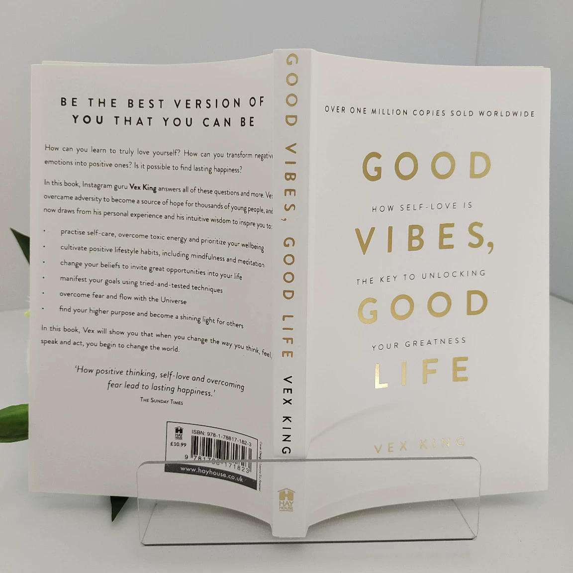 Good Vibes, Good Life — Векс Кинг (англ.)