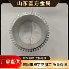 工业挤压铝型材 散热器铝合金型材 太阳花铝型材 燕尾铝型材