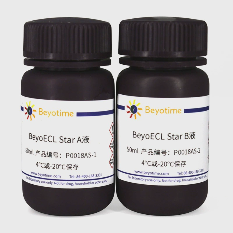 P0018AS-100ml BeyoECL Star (сверхчувствительный ECL химический люминесцентный набор) Biyuntian