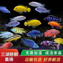 ���������~���~�s���~�R���~̹���~�����^�p�~���ֿ��B���B�ͻ�