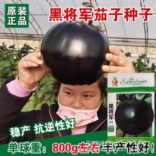 �ϺڈA�ѷN�Ӻ���ɫ���ӷN��ԭ�b�ļ��߲˴�ȫ�����l�����Nֲ