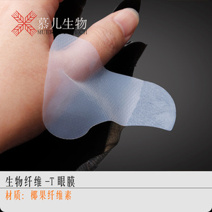 �羳���������w�ST����ĤҬ���w�S�؟o������Ĥ�S��ֱ�N��ˮ����