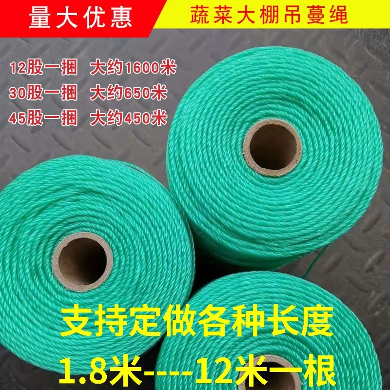 Тепличные подвесные веревки огурец чили овощные нити нейлон висячие виноградные лозы