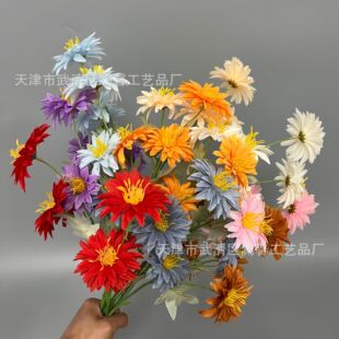 5�^�r�շ��滨�����ջ�c��Y�û���·���廨�zӰСҰ�Ց��⽁��