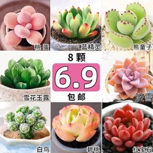 ֲGֲܴwB҃MM¶ƷN̨͏d