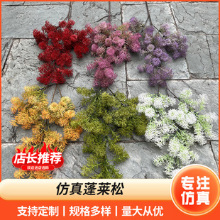 �S��ֱ�N���R�� ӆ�����Y�������滨�Ҿӿ͏d������滨�ֹ�