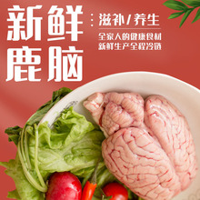 ���¹�����l÷��¹���r¹�X ¹�^¹����һ�����l ꌣ��