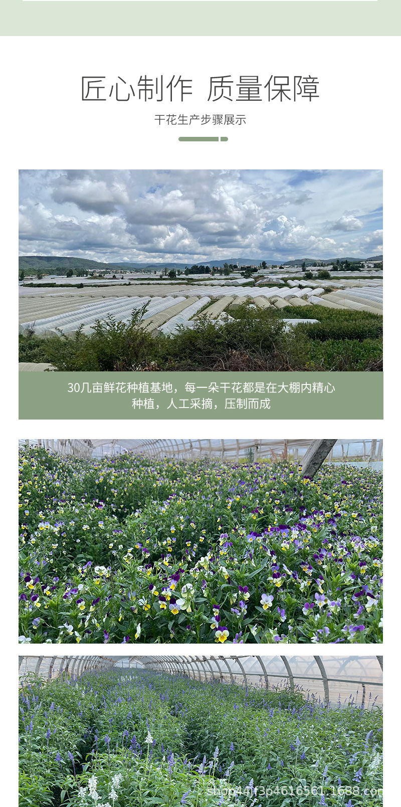 详情页_12.jpg