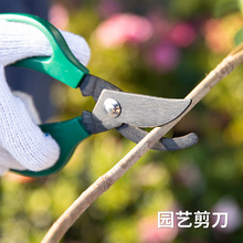 日本ECHO園藝剪刀花剪耐磨防滑修枝剪家用園林工具樹枝花藝剪刀